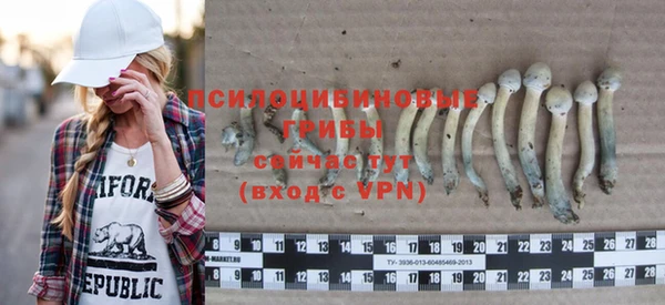 герыч Алзамай