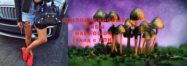 герыч Алзамай